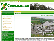 Tablet Screenshot of mu-sokolniki.ru